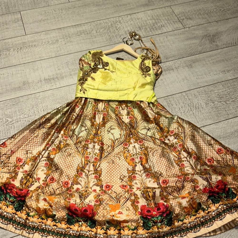 indian lehenga with detailed designs